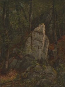 Studie hornin v Pearsonově rokli, polovina 50. let 19. století. od Asher Brown Durand