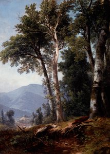 Lesní krajina, asi 1850 (olej na plátně) od Asher Brown Durand
