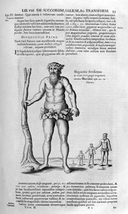 Předpotopní obři, 1678.