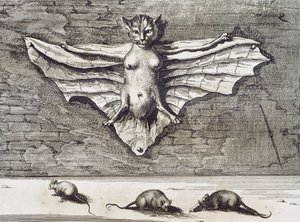 Létající kočka, 1667 od Athanasius Kircher
