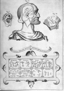 Závěsný od Athanasius Kircher