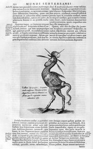 Mýtická stvoření, 1678. od Athanasius Kircher