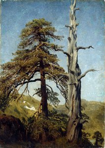 "Studie stromů, Norsko"" Malba Augusta Cappelena (1827-1852) 1850 Národní muzeum umění, Oslo, Norsko