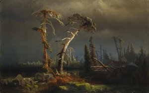 Rostoucí bouře - umírající prales v bouřích (olej na plátně)