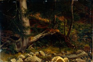 Studie lesního porostu (malba)