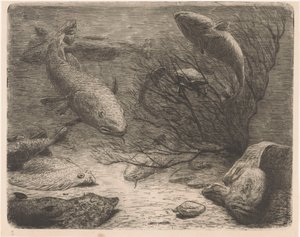 Akvárium od August Le Gras