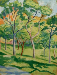 Stromy na louce od August Macke