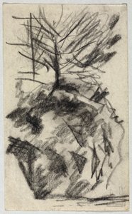 strom na svahu od August Macke