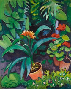Květiny v zahradě, klivie a pelargonie od August Macke