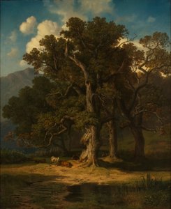 lesní krajina od August Maximilian Zimmermann