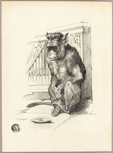 Žebrající opice od Auguste Andre Lancon