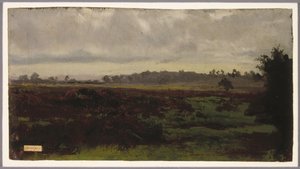 Marshlands, polovina 50. let 19. století (olej na papíře)