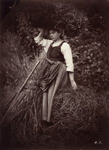 Sedlák, c. 1870.