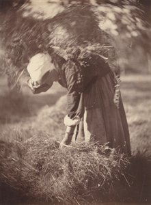 Sedlák, c. 1870.