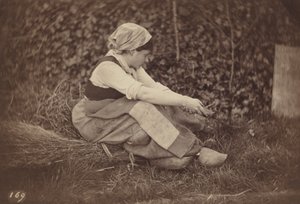 Peasant,c. 1870 (foto)