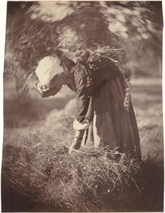 Peasant,c. 1870 (foto)