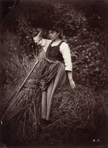 Peasant,c. 1870 (foto)