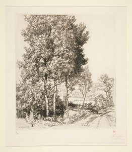 Údolí Petit Morin poblíž Verdelot (Seine-et-Marne) (Malé údolí Morin poblíž Verdelot [Seine-et-Marne]) od Auguste Lepere