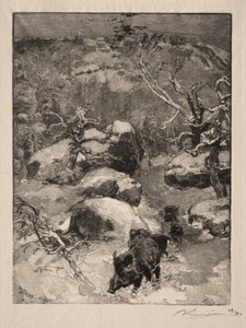 Roche Cuvier Chatillon od Auguste Louis Lepère
