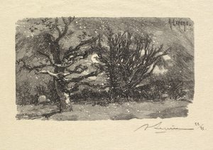 Fontainebleau Forest: Au dormoir de Lantara (La Forêt de Fontainebleau: Au dormoir de Lantara) od Auguste Louis Lepère