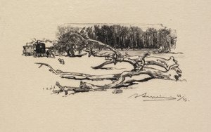 Fontainebleau Forest: Carrefour de l