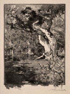 Le Clovis, Plateau de Bellecroix, 1890. od Auguste Louis Lepère