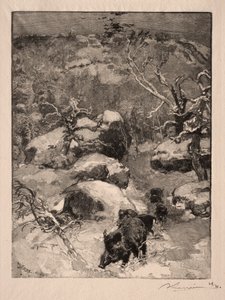 Roche Cuvier Chatillon od Auguste Louis Lepère