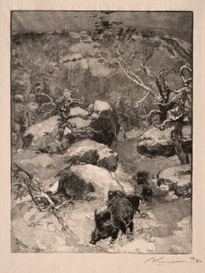 Roche Cuvier Chatillon, 1887. od Auguste Louis Lepère