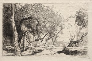 Twisted Tree, 1915. od Auguste Louis Lepère