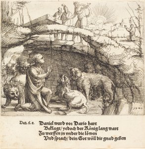 Daniel v jámě lvové, 1549. od Augustin Hirschvogel