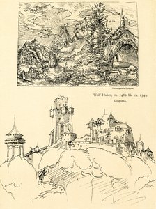 Studium přírody od Augustin Hirschvogel