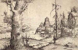 P.9-1993 Říční krajina se statným stromem od Augustin Hirschvogel