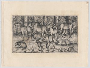 Jeleni v lese, 1545. od Augustin Hirschvogel