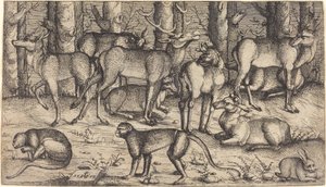 Jeleni v lese, 1545. od Augustin Hirschvogel