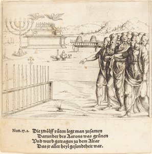 Rozkvět Áronovy hůlky od Augustin Hirschvogel