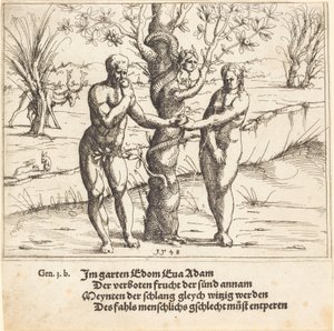 Pád člověka, 1548. od Augustin Hirschvogel