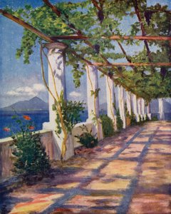 Pergola (barevná litografie)