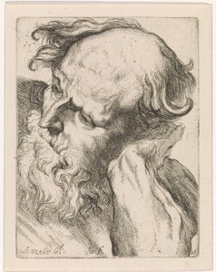 Hlava starého muže (Joseph) Studie pro kreslicí knihu podle klasických soch a postav od Anthonyho van Dycka (název série)