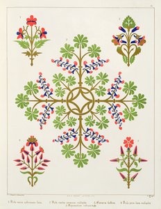 Design tapety s motivem růže, tisk M. und N. Hanhart od Augustus Welby Northmore Pugin