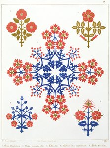 Tapety s motivem violy, kosatce a tulipánu, vytiskl M. und N. Hanhart
