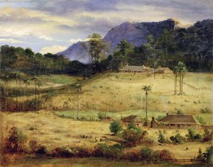 Usedlost, kolem 1850 od Australasian School