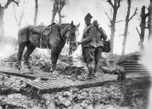 Dělostřelecký kůň používaný pro přepravu munice do děl a jeho neidentifikovaný australský řidič na dráze mezi Mametzem a Montaubanem, prosinec 1916 od Australian Photographer