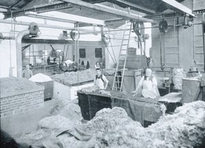 Interior of a Hat Mill, Victoria, c.1900, from 