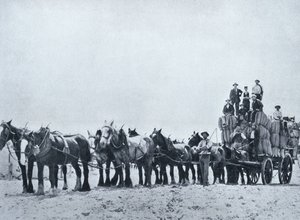 Tým přenášející vlnu, Západní Austrálie, kolem roku 1900, z „Under the Southern Cross - Glimpses of Australia“, vydaného Ministerstvem zahraničních věcí, Melbourne, 1908