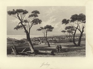 Geelong od Australian School