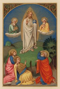 Transfiguratio D N J Chr (chromolitho) od Austrian School