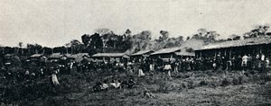 Italská kolonie Fazenda Arindiuba, 1895