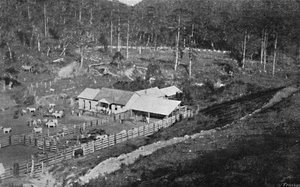 Farma stvoření Campos do Jordao, farma stvoření, 1895