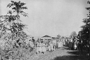 Párty v kolonii, Párty v kolonii, 1895