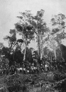 Virgin Matta, 1895